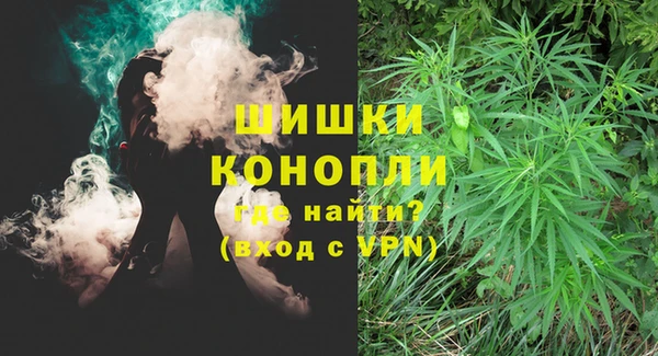стафф Богородицк