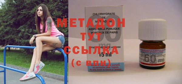 прущие грибы Богданович