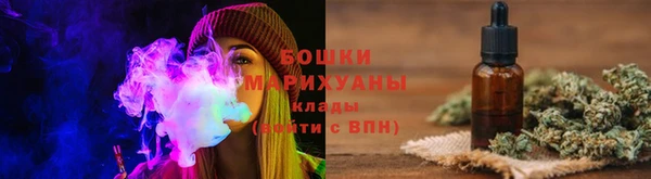 прущие грибы Богданович