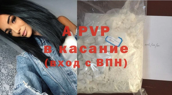 прущие грибы Богданович